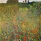 Poppy Field 1907 Poster Print by Gustav Klimt - Item # VARPDX373375